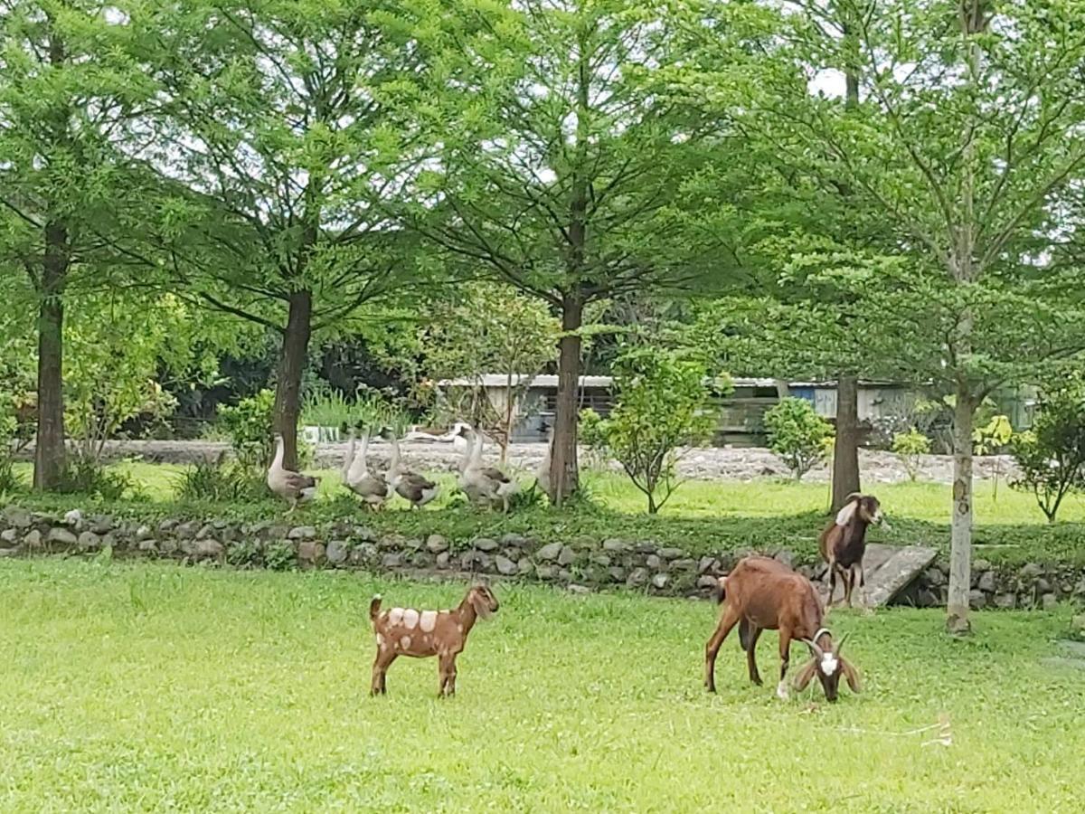 Meihua Lake Leisure Farm Dongshan  Exterior photo